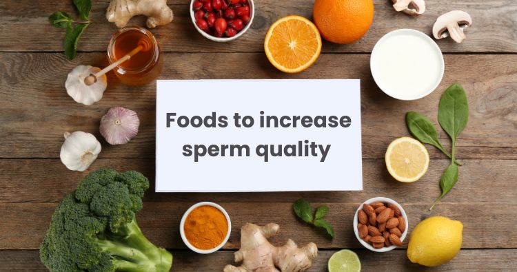 Top Foods To Make Your Sperm Thicker And Stronger